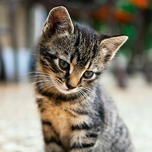 너무 감사합니다